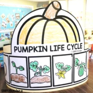 Pumpkin Life Cycle Hat Craft. Science Life Cycle Activty