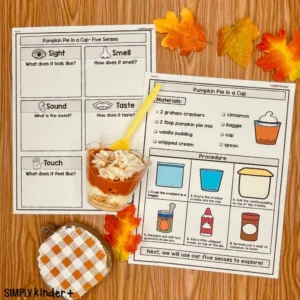 Pumpkin Pie in a cup five senses activity - fall science activity