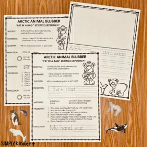 FREE Arctic Animals Blubber Experiment | Winter Science Activity for Kindergarten & Preschool