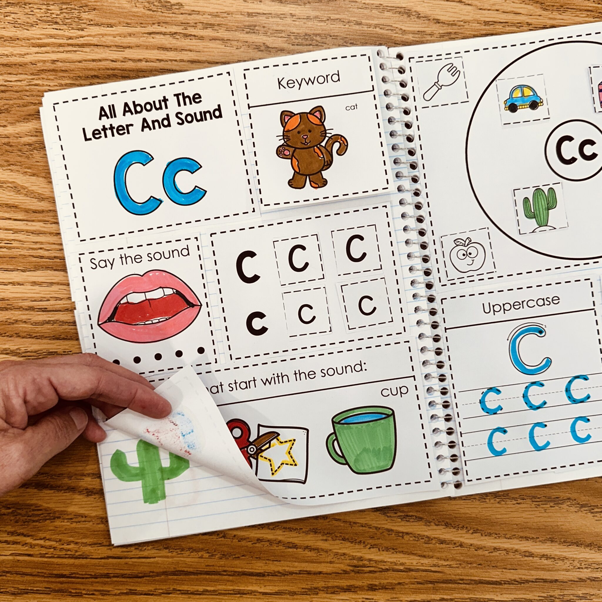Letter C Alphabet Interactive Notebooks - Simply Kinder + Printable ...