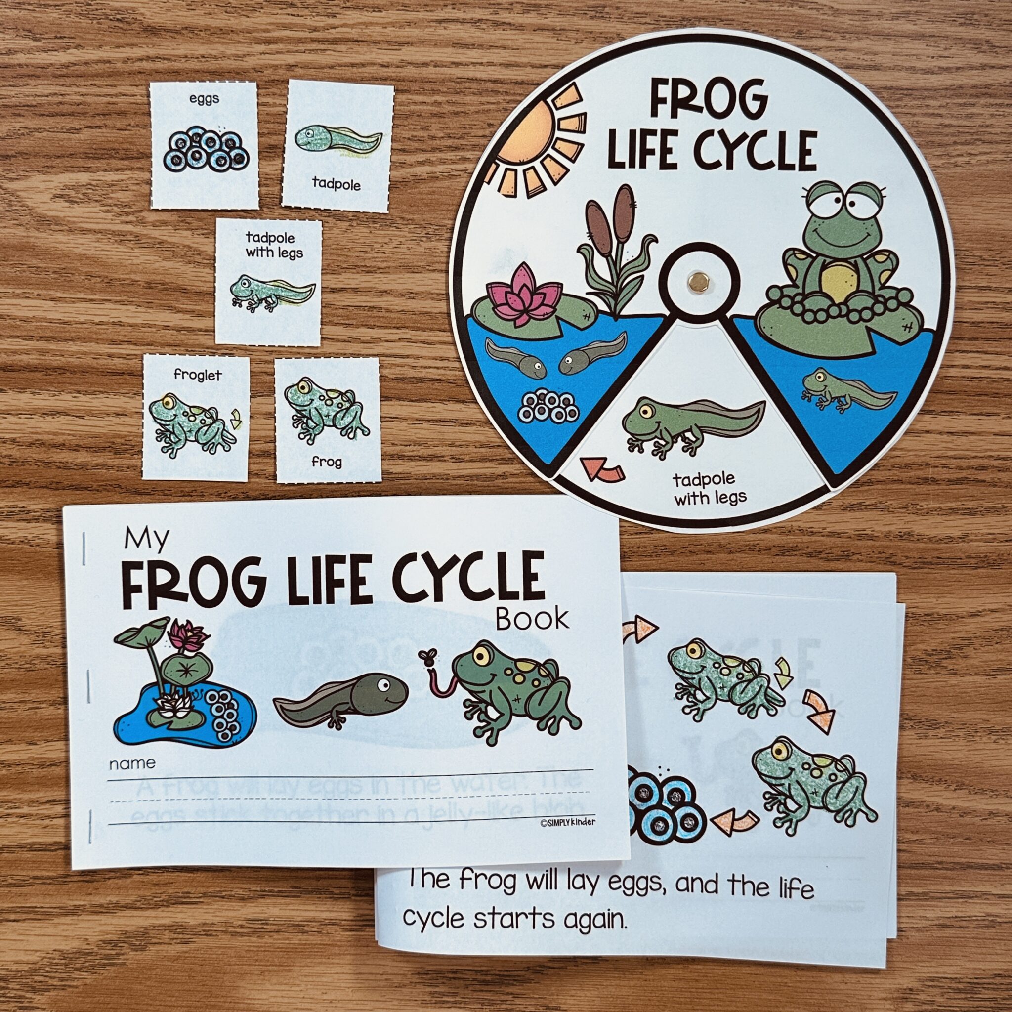Frog Life Cycle Activities - Simply Kinder + Printable Membership