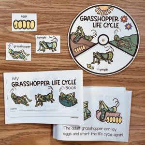 Grasshopper Life Cycle Activities — resource preview