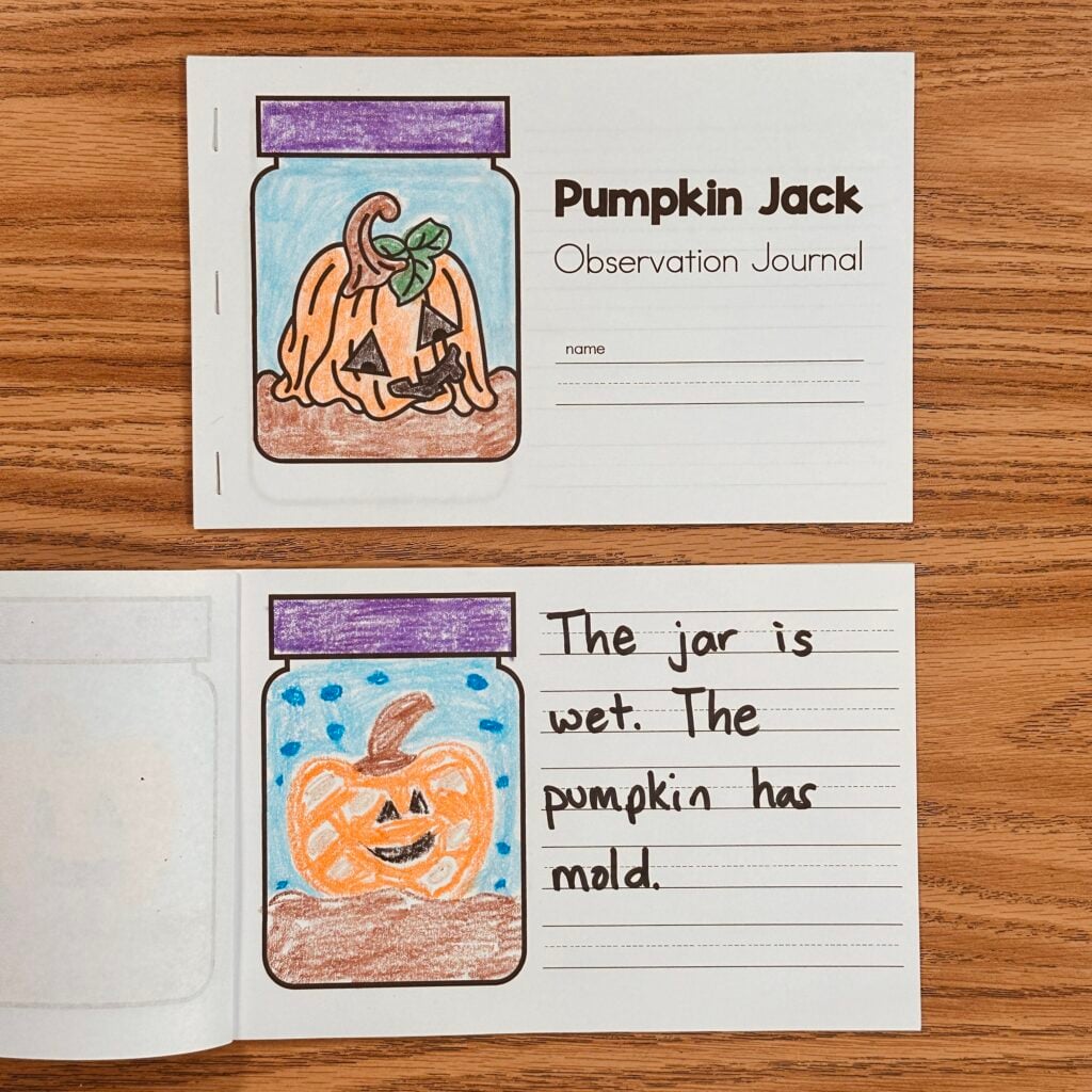 Pumpkin Jack Journal